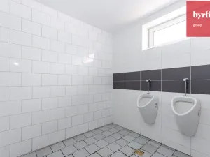 Pronájem kanceláře, Opava, Pekařská, 135 m2