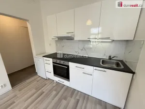 Pronájem bytu 1+kk, Praha - Smíchov, Na Skalce, 22 m2