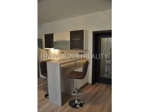 Pronájem bytu 2+kk, České Budějovice - České Budějovice 2, Volejbalistů, 48 m2