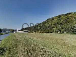 Prodej louky, Bohutín, 1450 m2