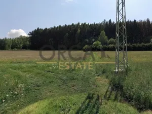 Prodej podílu lesa, Ústí nad Orlicí, 2174 m2