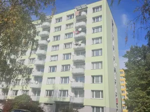 Prodej bytu 1+1, Strakonice - Strakonice II, Dukelská, 35 m2