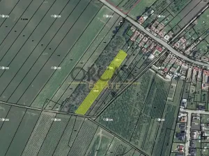 Prodej podílu pole, Moravský Žižkov, 1898 m2