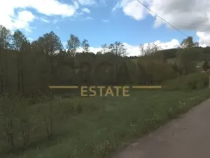 Prodej louky, Loužnice, 3107 m2