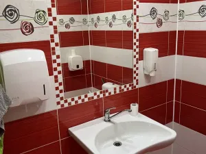 Pronájem skladu, Ostrava - Svinov, Františka a Anny Ryšových, 1073 m2