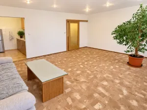 Prodej bytu 2+kk, Mělník, Pod Vrchem, 48 m2