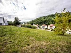 Prodej pozemku pro bydlení, Pozlovice, 5439 m2