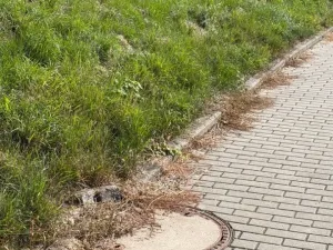Prodej pozemku pro bydlení, Pozlovice, 5439 m2