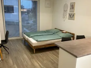Pronájem bytu 1+kk, Olomouc, Rokycanova, 34 m2