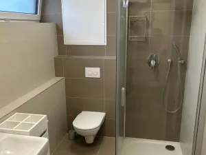 Pronájem bytu 1+kk, Olomouc, Rokycanova, 34 m2