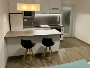 Pronájem bytu 1+kk, Olomouc, Rokycanova, 34 m2