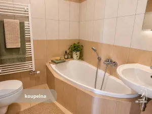 Pronájem bytu 2+kk, České Budějovice - České Budějovice 7, Lidická tř., 45 m2
