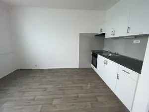 Pronájem bytu 1+kk, Ústí nad Labem, Pod Parkem, 19 m2