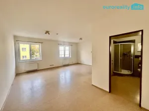 Pronájem bytu 1+kk, Karlovy Vary, Závodu míru, 40 m2