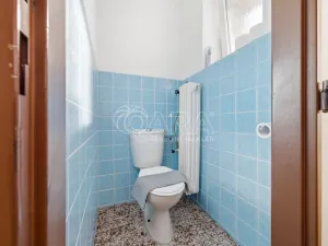 Prodej komerční nemovitosti, Velké Losiny, Komenského, 260 m2