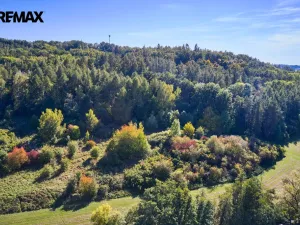 Prodej lesa, Račice nad Trotinou, 31440 m2