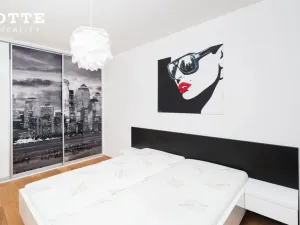 Pronájem bytu 2+kk, Plzeň, Šafaříkovy sady, 59 m2