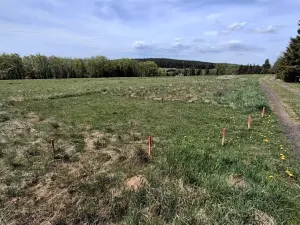 Prodej louky, Osek, 1013 m2