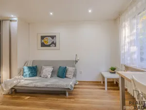 Pronájem bytu 1+kk, Ostrava, Bajkalská, 25 m2