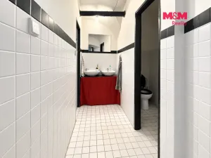 Pronájem obchodního prostoru, Jindřichův Hradec - Jindřichův Hradec I, Panská, 100 m2