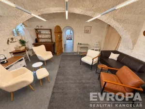 Prodej komerční nemovitosti, Borovy, 500 m2