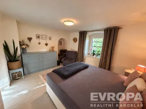Prodej komerční nemovitosti, Borovy, 500 m2
