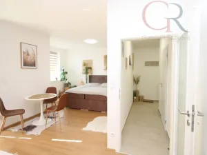 Pronájem bytu 1+kk, Plzeň - Jižní Předměstí, Inženýrská, 50 m2
