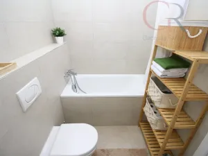 Pronájem bytu 1+kk, Plzeň - Jižní Předměstí, Inženýrská, 50 m2