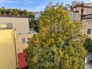Pronájem bytu 2+1, Praha - Podolí, Podolská, 57 m2