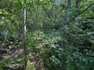 Prodej pozemku pro bydlení, Statenice, Nad Strání, 924 m2