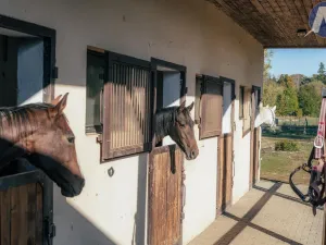 Prodej zemědělského objektu, Stříbro - Lhota u Stříbra, 200 m2