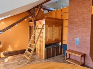 Pronájem bytu 1+kk, Brno, Kohoutova, 50 m2
