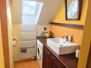 Pronájem bytu 1+kk, Brno, Kohoutova, 50 m2