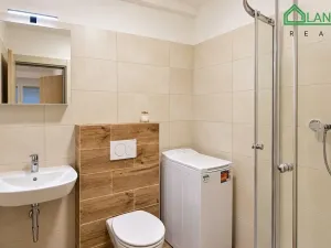 Pronájem bytu 1+kk, Brno, Francouzská, 31 m2