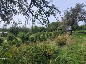 Prodej vícegeneračního domu, Troubky-Zdislavice, 305 m2