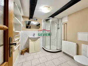 Prodej chalupy, Klíny, 200 m2