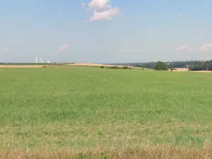 Prodej pole, Vysoká, 11301 m2