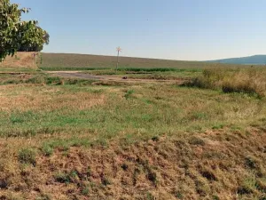 Prodej pole, Ronov nad Doubravou, 100774 m2