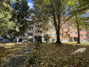 Pronájem bytu 2+1, Ostrava - Zábřeh, Volgogradská, 53 m2