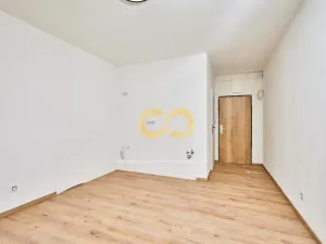 Prodej bytu 1+kk, Prachatice, nám. Přátelství, 20 m2