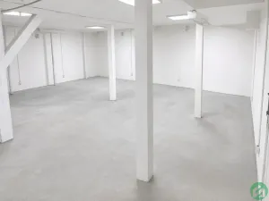 Pronájem vícegeneračního domu, Praha - Písnice, Putimská, 1500 m2