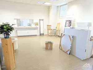 Pronájem komerční nemovitosti, Jihlava, Březinova, 97 m2
