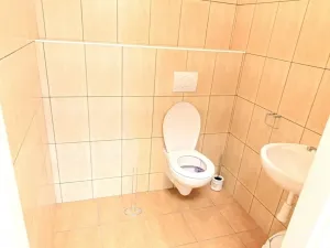 Pronájem komerční nemovitosti, Jihlava, Březinova, 97 m2
