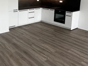 Pronájem bytu 2+kk, Plzeň, Františka Kováříka, 61 m2