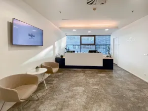 Pronájem kanceláře, Brno - Štýřice, Holandská, 70 m2