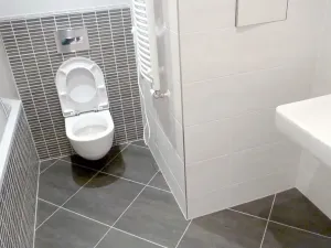 Pronájem bytu 2+kk, Praha - Žižkov, Olšanská, 61 m2