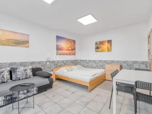 Pronájem bytu 1+kk, Trojanovice, 32 m2