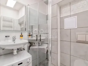 Pronájem bytu 1+kk, Trojanovice, 32 m2