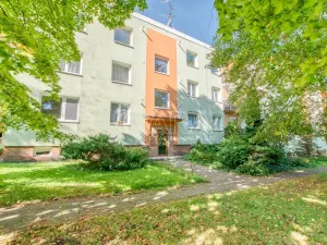 Pronájem bytu 1+kk, Trojanovice, 32 m2
