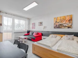 Pronájem bytu 1+kk, Trojanovice, 32 m2